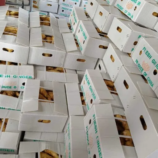خرید زنجبیل تازه وارداتی با کیفیت درجه یک