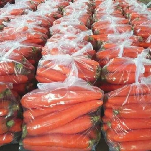 بسته‌بندی هویج صادراتی
