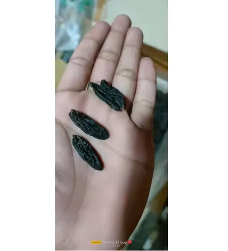 مویز صادراتی 