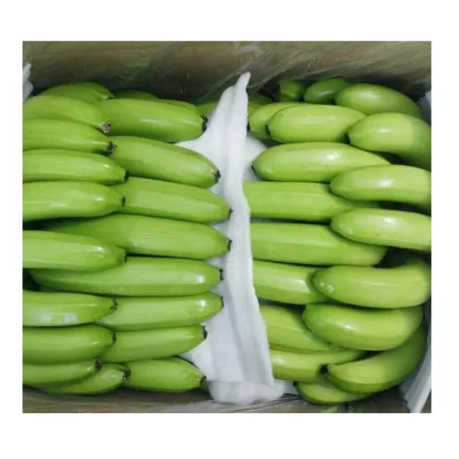 موز کاوندیش سبز 