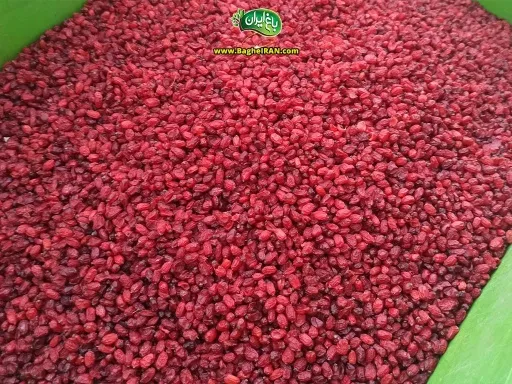 برند ایرانی پفک صادراتی با کیفیت جهانی