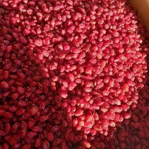 برند ایرانی پفک صادراتی با کیفیت جه