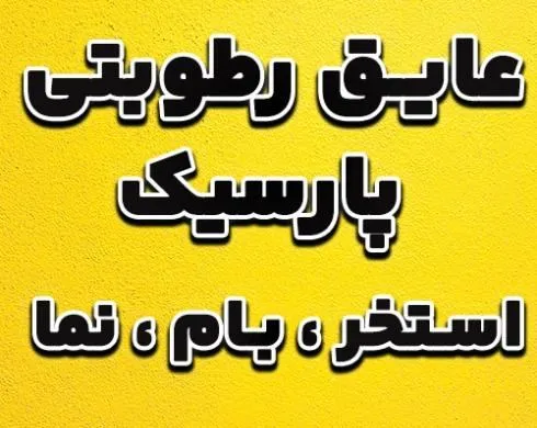 تصویر نانو عایق رطوبتی پارسیک،عایق استخر،سرویس،بام،نما