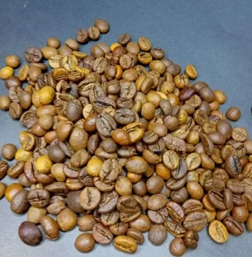 تصویر قهوه روبوستا ویتنام رست شکلاتی