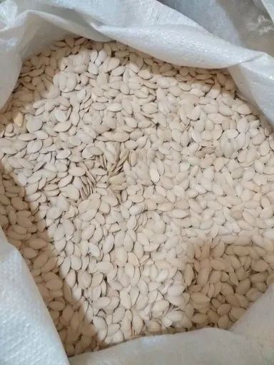 تصویر خرید عمده تخمه کدو و مغز کدو | قیمت و بستهبندی تیر ۱۴۰۴