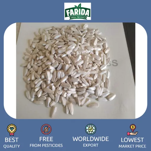 تصویر فروش عمده تخمه سفید وارداتی از چین– قیمت، بستهبندی و جزئیات شهریور ۱۴۰۴