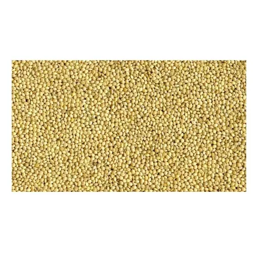 ارزن روسیه فله