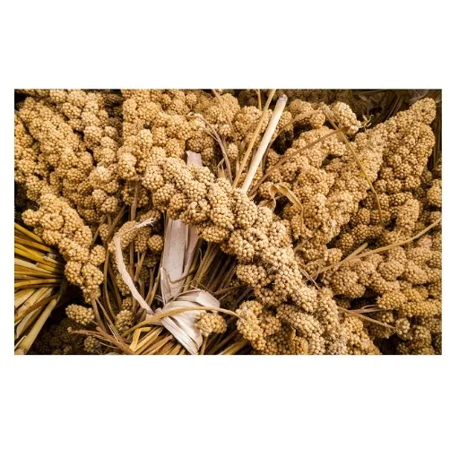 واردات ارزن