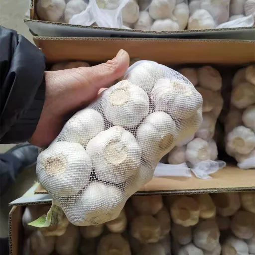 قیمت سیر تازه در بازار امروز