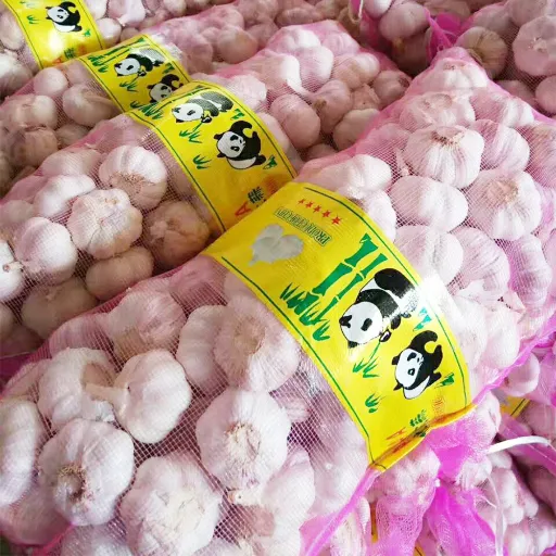 قیمت سیر تازه در بازار