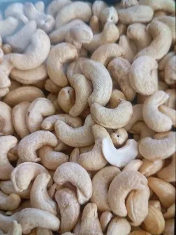 بادام هندی با کیفیت صادراتی مناسب کرهگیری طبیعی