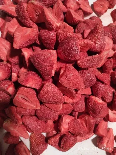 فروش توت فرنگی خشک شده سالم