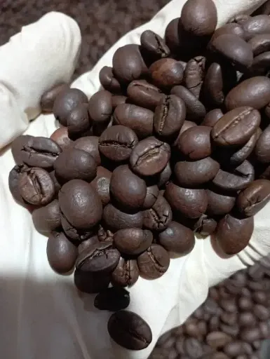 تامین قهوه رستوران تهران