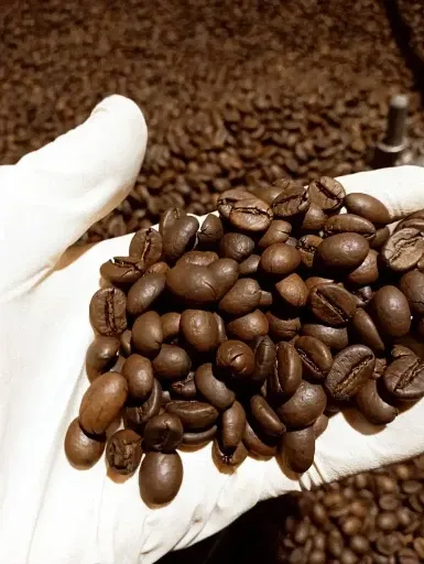 پخش قهوه کافیشاپ تهران