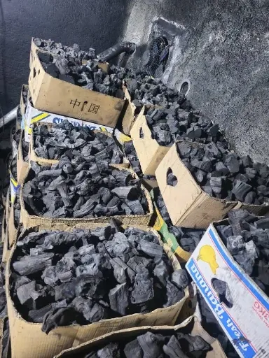 پخش زغال کبابی