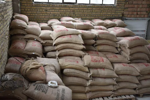 عمده فروشی دانه های قهوه سبز