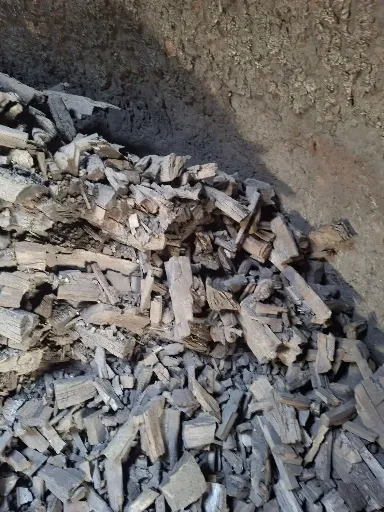 فروش زغال باغی