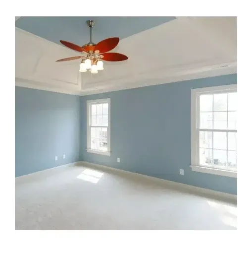 رنگ روغنی، پلاستیک، اکریلیک