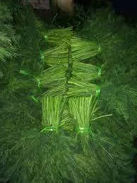 نرخ شوید صادراتی