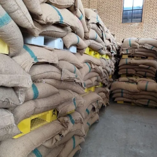 وارد کننده دانه سبز قهوه