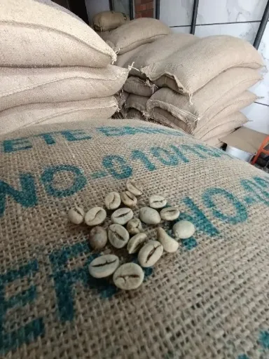 وارد کننده دانه سبز قهوه