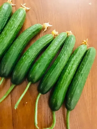 قیمت خیار گلخانه ای در بازار تهران