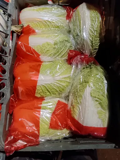 تصویر کاهو چینی عمده از مزرعه