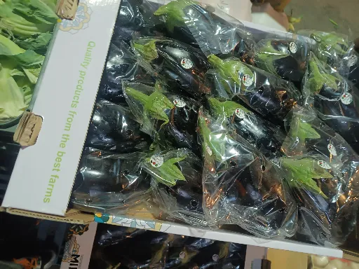 بادمجان لامپی ورامین