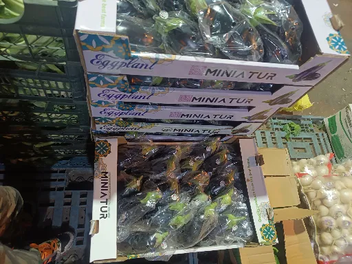 بادمجان لامپی ورامین