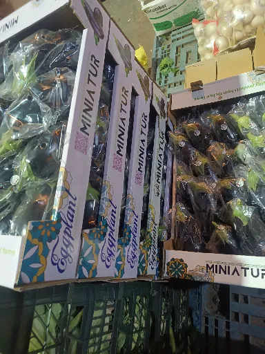 بادمجان گلخانهای ورامین