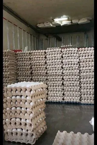 خرید تخم مرغ کارتنی