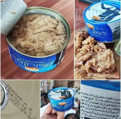 تصویر تن ماهی خوش نگار