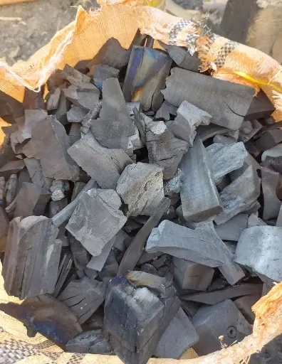 تصویر زغال کبابی