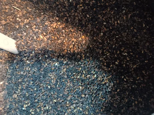 تصویر کنجد سیاه عمده