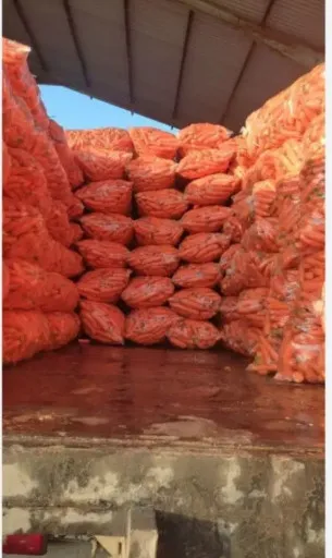 تصویر خرید و قیمت هویج آبگیری