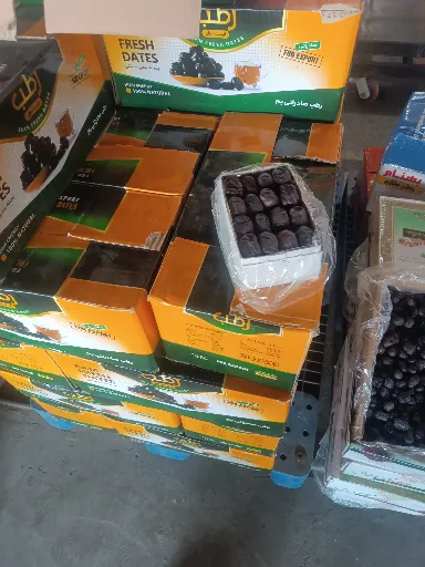 تصویر خرما مضافتی سه ردیفی