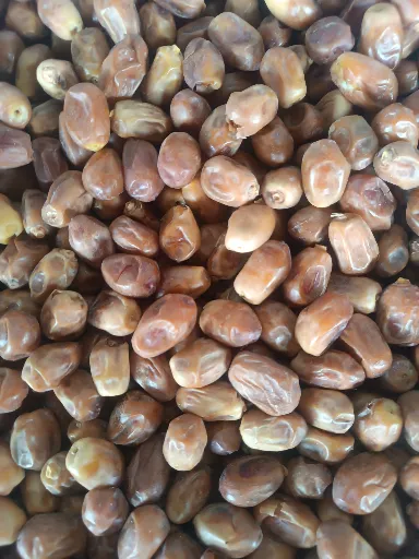 تصویر قیمت خرمای زاهدی امروز خرید مستقیم از کشاورز