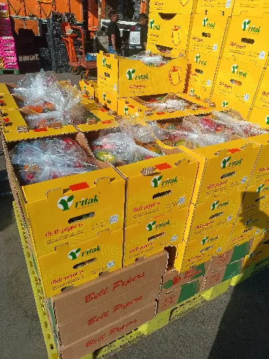 تصویر خرید و قیمت فلفل دلمه در بازار امروز