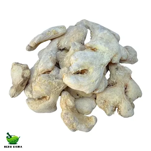 تصویر زنجبیل قلم چینی عمده